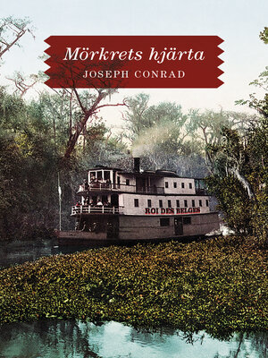 cover image of Mörkrets hjärta